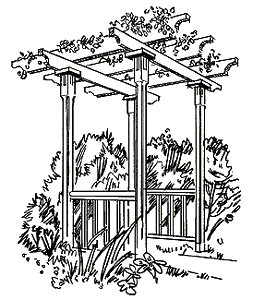 Arbor (Pergola)
