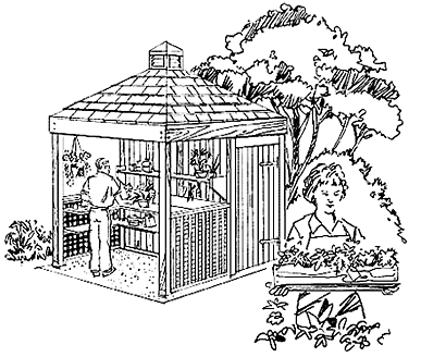 Shed (Garden 10x10')
